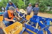노동력 절감을 위한 고구마 수확기 시연회 개최